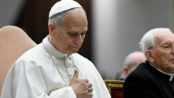 El Papa: "Quiero también reconocer a los sobrevivientes que se han convertido en defensores, apoyando otras víctimas".