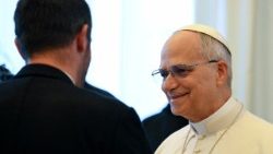 Pope Leo greets members of the European Conservatives and Reformists Group of the European Parliament