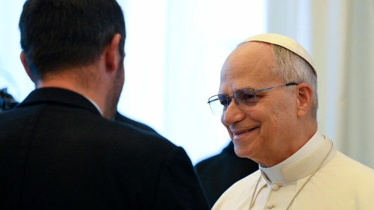 Pope Leo greets members of the European Conservatives and Reformists Group of the European Parliament