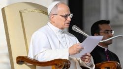 Le Pape Léon XIV le 20 décembre 2025, lors de la dernière audience jubilaire. 