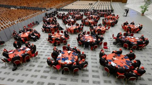 Consistorio: los cardenales votan sinodalidad y misi&oacute;n como temas de reflexi&oacute;n