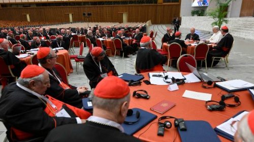 Consistory: Cardinals choose synodality and mission as themes for reflection