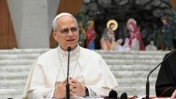 El Papa toma la palabra en la apertura del primer Consistorio Extraordinario de cardenales de su pontificado