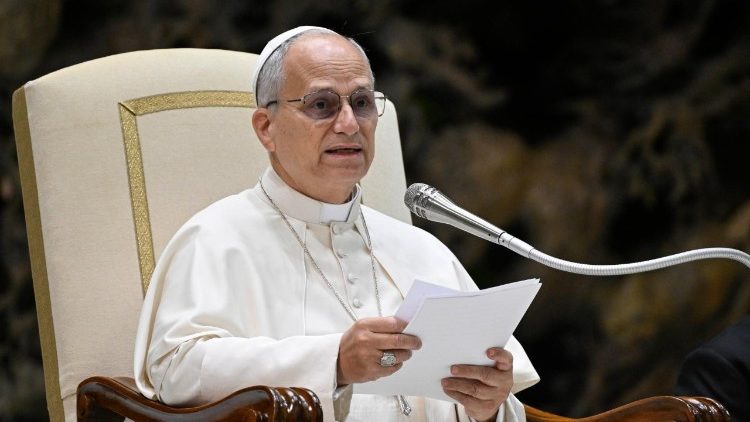 2026.01.07 Udienza Generale