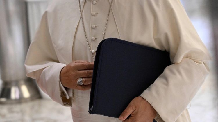 Pope Leo during the Extraordinary Consistory