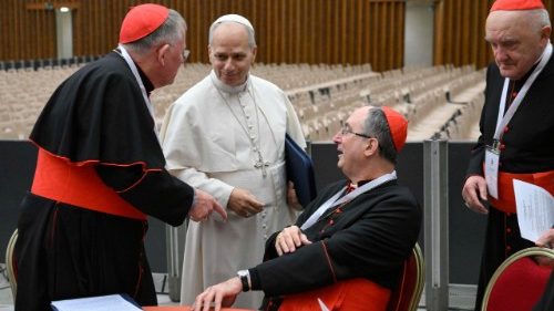 Pope Leo: Another Consistory in June; We will hold one every year