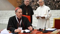 Mimořádná konzistoř - 8. ledna 2026