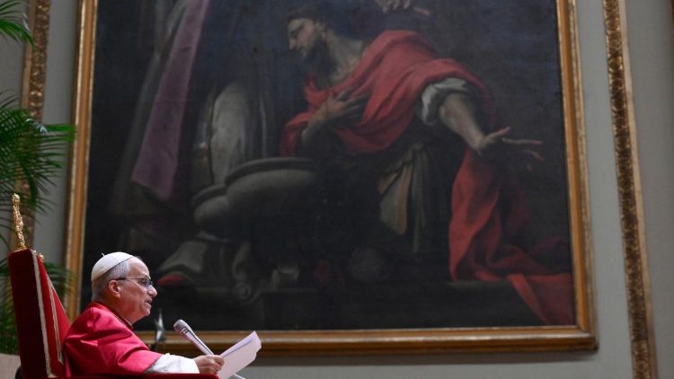 Leone XIV nell'udienza in Vaticano