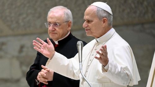 2026.01.14 Udienza Generale