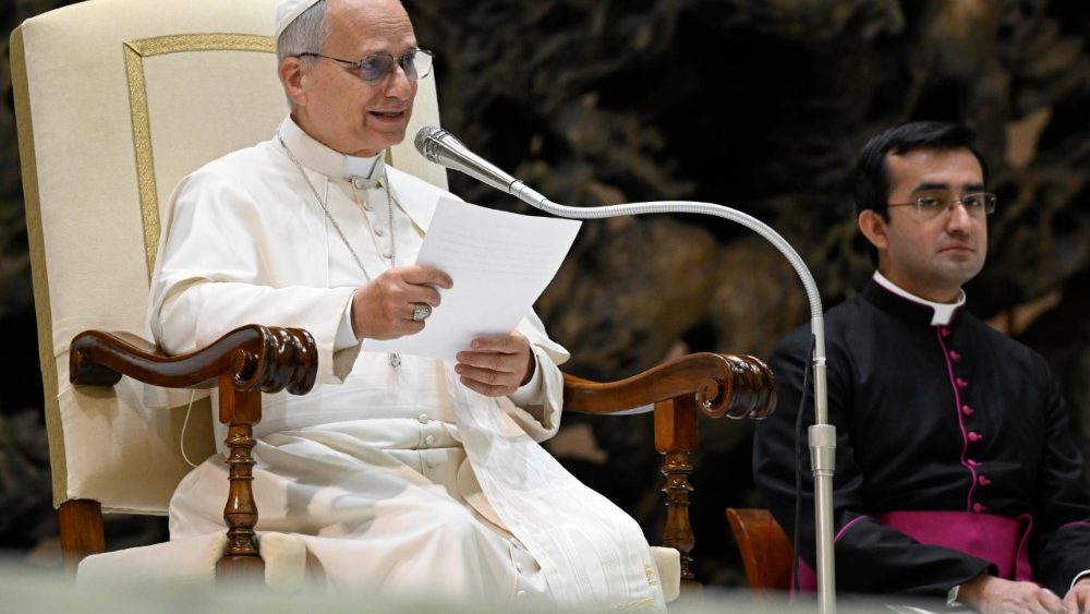 2026.01.14 Udienza Generale