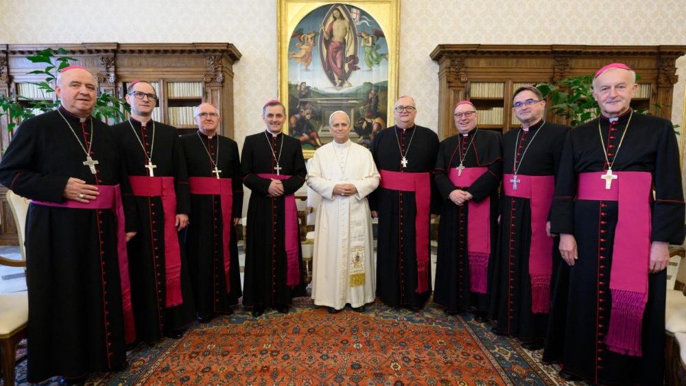 El Papa se reúne con los obispos eslovenos en visita ad limina apostolorum
