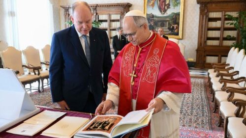 L&eacute;on XIV a re&ccedil;u le prince Albert II de Monaco