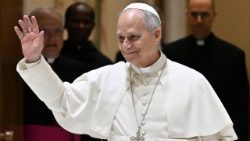 Generální audience Lva XIV.