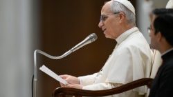 2026.01.21 Udienza Generale