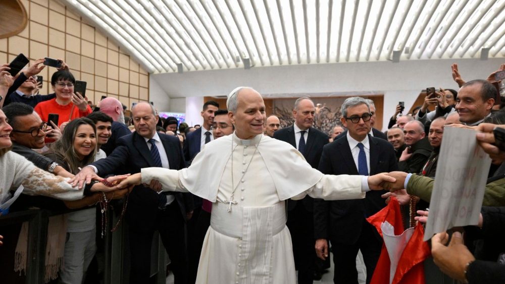 2026.01.21 Udienza Generale