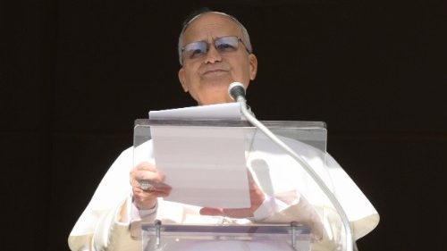 Wortlaut: Papst beim Angelus am 25. Januar 2026