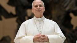 പാപ്പാ പൊതുകൂടികാഴ്ചാവേളയിൽ 