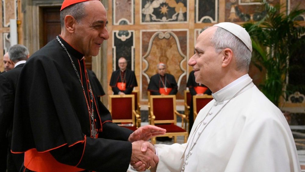  Le Pape Léon XIV recevant les participants à la plénière du dicastère pour la Doctrine de la foi, en salle Clémentine du Palais apostolique, le 29 janvier 2026.
