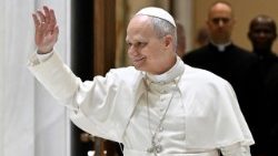 Papież pozdrowił także pielgrzymów polskich