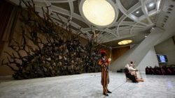 2026.02.04 Udienza Generale