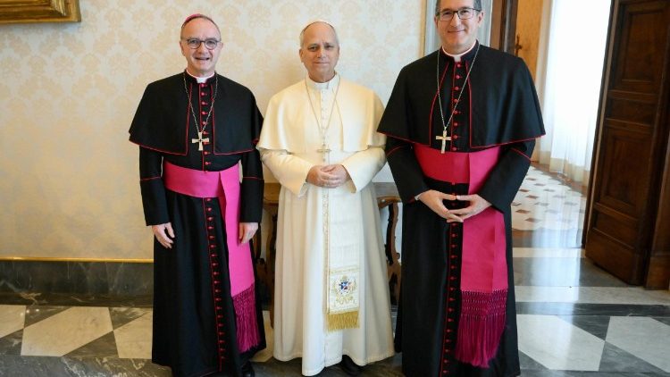 Die Audienz im Vatikan