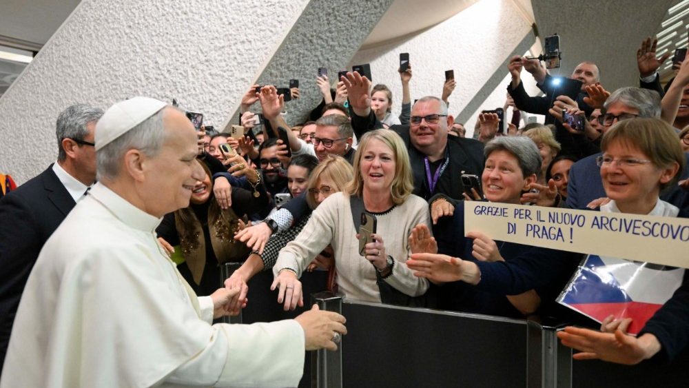 Падчас агульнай аўдыенцыі 11 лютага 2026 года