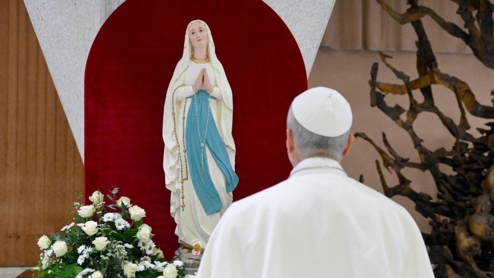 Падчас агульнай аўдыенцыі 11 лютага 2026 года