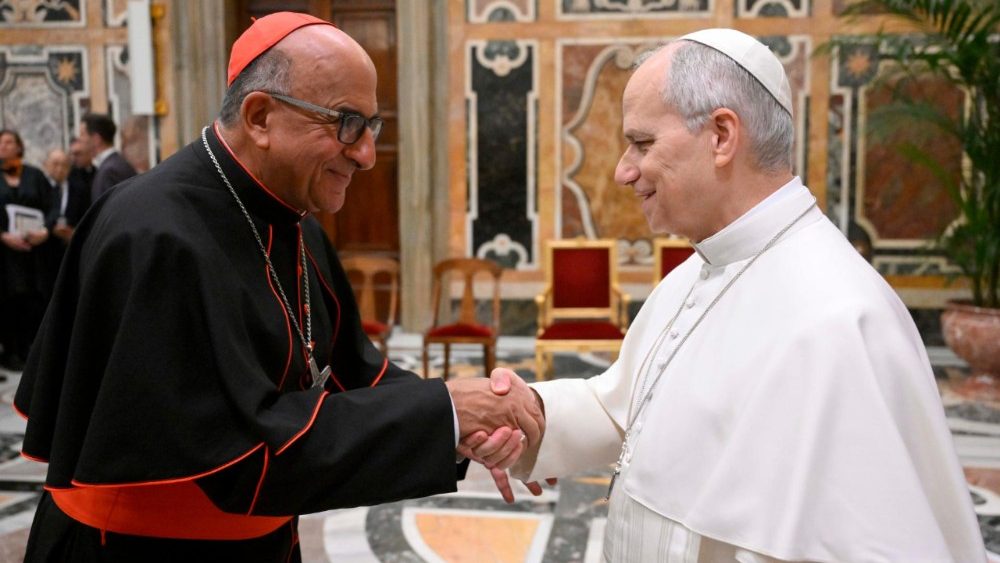 Аўдыенцыя для ўдзельнікаў пленарнай сесіі Папскай акадэміі жыцця