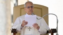 2026.02.18 Udienza Generale