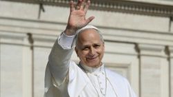 ലിയോ പതിനാലാമൻ പാപ്പാ