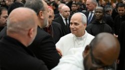 Stretnutie s rímskym klérom