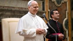 Papež Lev XIV. přijal bohoslovce čtyř španělských seminářů