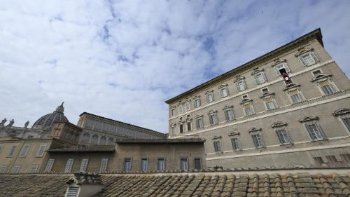 Wortlaut der Katechese: Was Papst Leo beim Mittagsgebet sagte