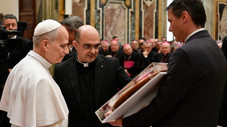 Papa leo XIV: Taalimungu ni kwa ajili ya huduma ya kutangaza na kushuhudia Injili ya kristo Yesu, 