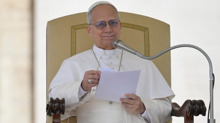 Papst Leo bei der Generalaudienz