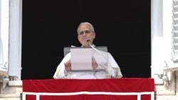 Popiežius sekmadienio vidudienį