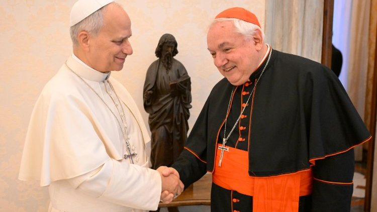 Papa Leone e il cardinale Aveline