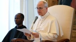 Pope Leo XIV meets with members of the Pontifical Commission for the Protection of Minors