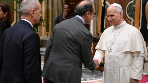 Leo XIV.: Organspende verantwortungsvolle und solidarische Geste