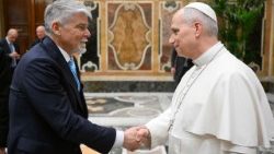 Аўдыенцыя для членаў італьянскага Нацыянальнага цэнтра транспланталогіі