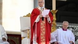 レオ14世、聖週間初日、受難の主日（枝の主日）のミサで　2026年3月29日　バチカン・聖ペトロ広場