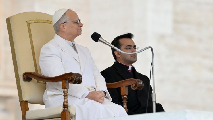 Pope Leo during the General Audience