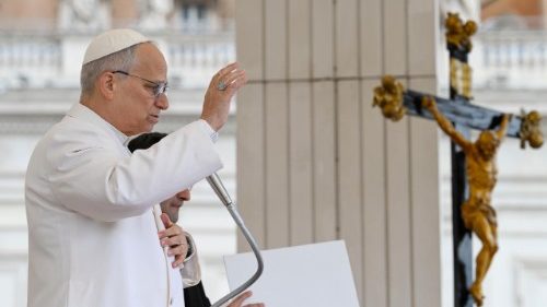 Generalaudienz: Heilig sein ist Auftrag f&uuml;r alle Getauften