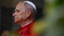 Papež Lev XIV. v bazilice Panny Marie, Paní Afriky