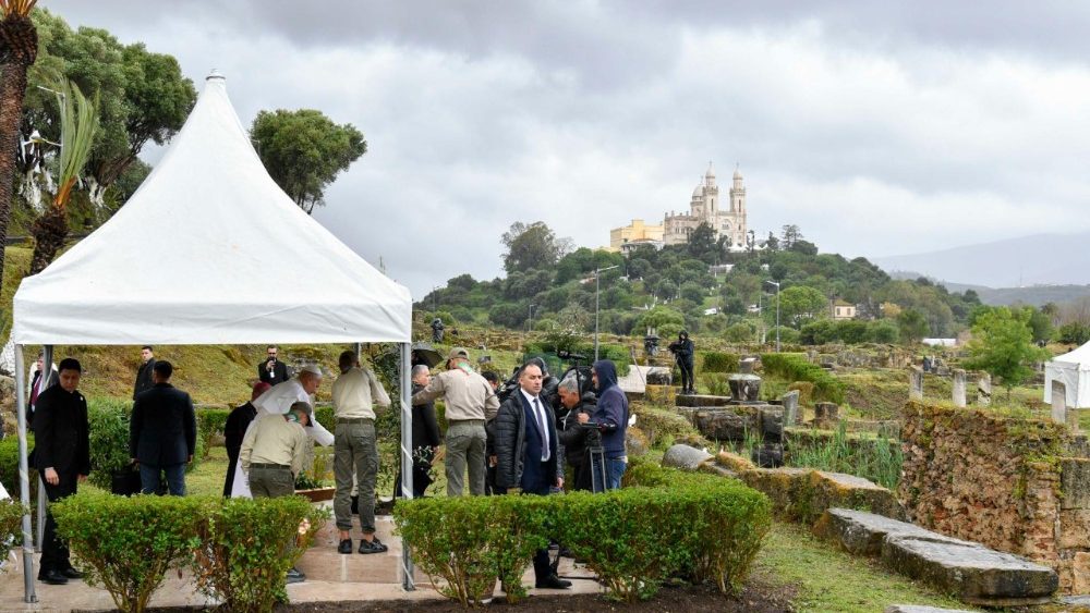 The Pope plants an olive tree at the site 
