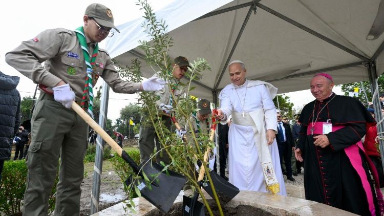 O momento em que o Papa ajudou a plantar uma oliveira, s&iacute;mbolo de paz