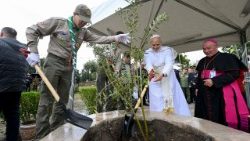Pápež zasadil olivovník v archeologickom areály starobylého mesta Hippo