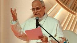 Papież Leon XIV podczas 11 dni podróży do Afryki wygłosił 25 przemówień