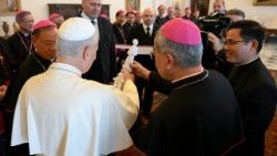 Papst Leo empfängt die Bischöfe Vietnams auf Ad Limina-Besuch