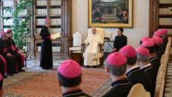 Udienza dal Papa per i vescovi del Vietnam in visita Ad Limina
